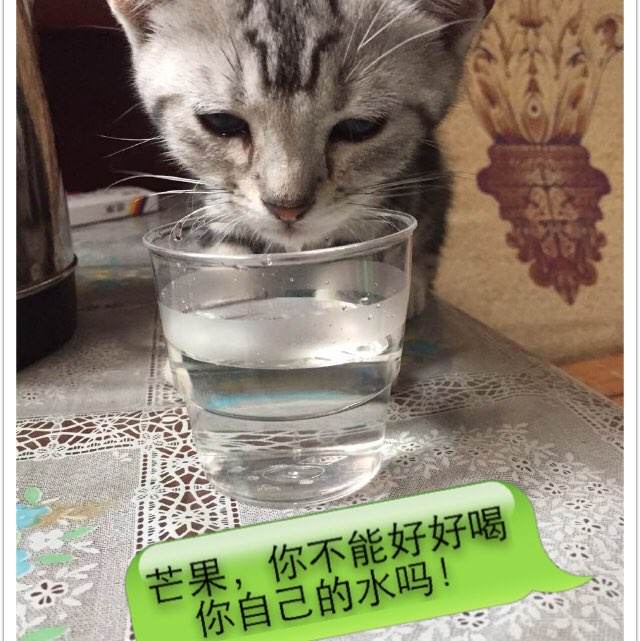 梅奥研究生院文凭毕业证怎么制作